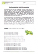 Genaues Lesen - Die Schildkröte hält Winterschlaf Genaues Lesen - Die Schildkröte hält Winterschlaf
